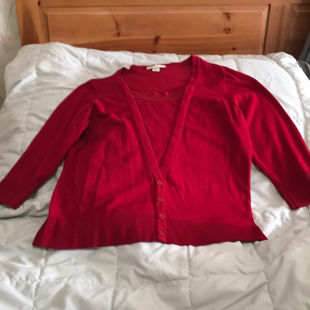 Christopher and Banks sweater top.
